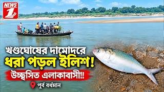 খণ্ডঘোষের দামোদরে ধরা পড়ল ইলিশ! উচ্ছ্বসিত এলাকাবাসী!!