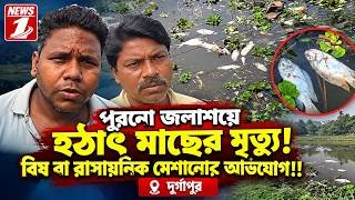 পুরনো জলাশয়ে হঠাৎ মাছের মৃত্যু! বিষ বা রাসায়নিক মেশানোর অভিযোগ !